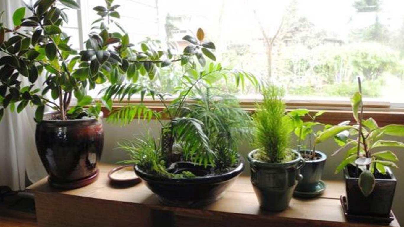 5 Monsoon Home-Care Tips For Your Apartment